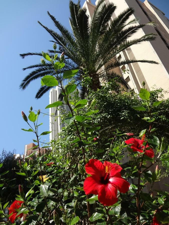 Best View - Welcome Penthouse Apartamentos Karola Benidorm Ngoại thất bức ảnh