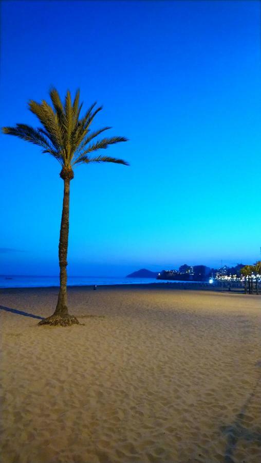Best View - Welcome Penthouse Apartamentos Karola Benidorm Ngoại thất bức ảnh